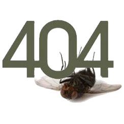     404- 